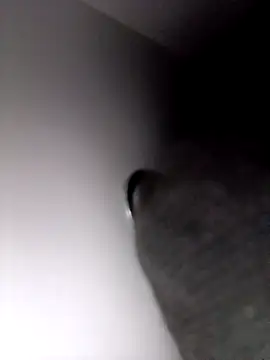 SexyB214 online show from January 17, 2026, 12:54 pm