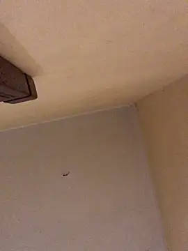 ClatteryPrexy online show from March 19, 2026, 12:58 am