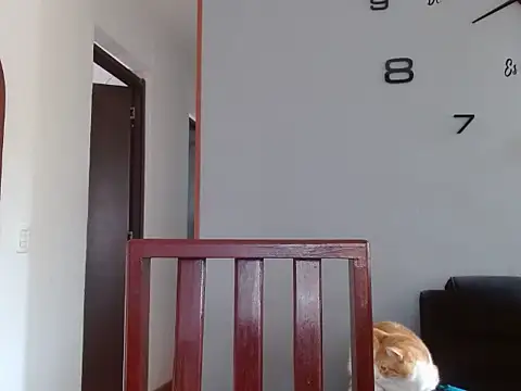 Snapshot of Laura_martin_ chatting on February 5, 2025, 1:33 pm Laura martin online show from February 5, 2025, 1:33 pm