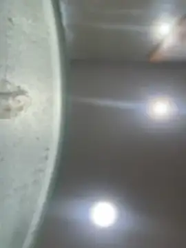 Snapshot of Mila_Morgan chatting on January 23, 2025, 1:51 am Mila Morgan online show from January 23, 2025, 1:51 am