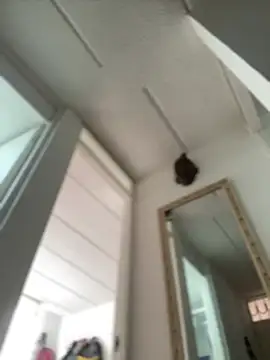 Snapshot of Mila_Morgan chatting on February 27, 2025, 2:43 pm Mila Morgan online show from February 27, 2025, 2:43 pm