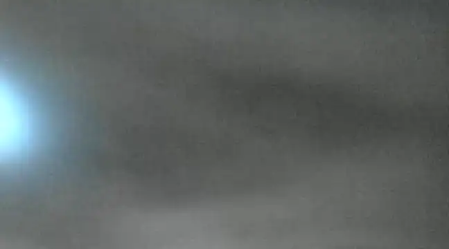 canela wet online show from January 18, 2025, 1:08 pm