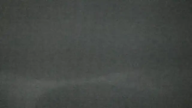 canela wet online show from February 14, 2025, 12:25 pm