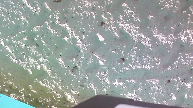 carolinesampaio online show from March 18, 2025, 6:36 am