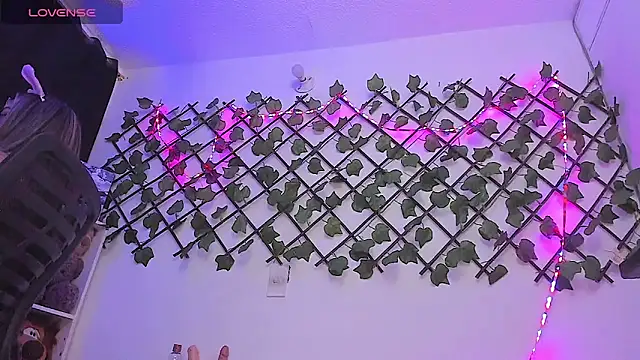 Pucaa  online show from February 6, 2025, 12:43 am