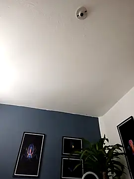 SilvaBranko online show from November 30, 2025, 12:03 am