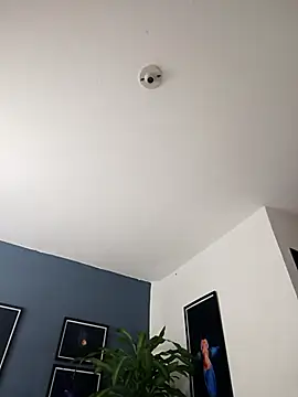 SilvaBranko online show from December 23, 2025, 1:03 am