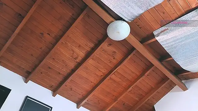 SilvaBranko online show from March 14, 2026, 8:03 pm