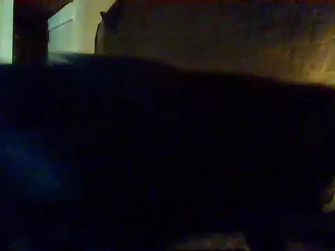 Nightshade7712 online show from September 16, 2025, 9:38 pm