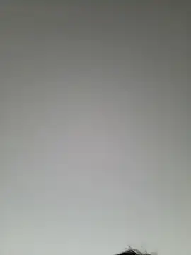 Snapshot of high_andlow420 chatting on March 8, 2025, 12:41 pm high andlow420 online show from March 8, 2025, 12:41 pm