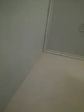 CieloTaylor online show from February 25, 2026, 10:25 am