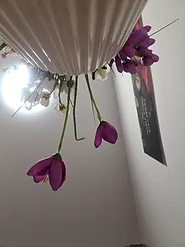 CoupleHot 69 DreamSex online show from March 6, 2026, 4:47 pm