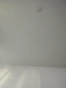 Snapshot of lolabun247 chatting on January 20, 2025, 10:04 pm lolabun247 online show from January 20, 2025, 10:04 pm