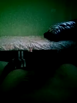 Snapshot of SOYMRX chatting on December 17, 2024, 10:32 pm SOYMRX online show from December 17, 2024, 10:32 pm