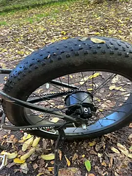 Snapshot of Shyboy817 chatting on October 28, 2025, 2:20 pm Shyboy817 online show from October 28, 2025, 2:20 pm