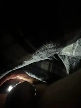 Snapshot of Shyboy817 chatting on March 11, 2026, 4:18 am Shyboy817 online show from March 11, 2026, 4:18 am