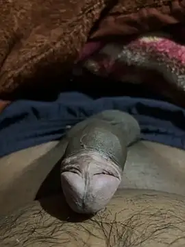 Snapshot of delhiboyz1 chatting on February 16, 2025, 7:49 pm delhiboyz1 online show from February 16, 2025, 7:49 pm