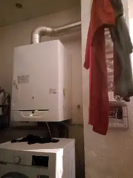 pachapeter online show from February 10, 2025, 9:47 am