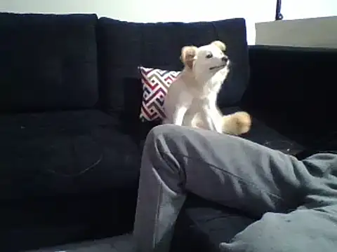 KikiLovesD online show from December 31, 2024, 8:34 pm