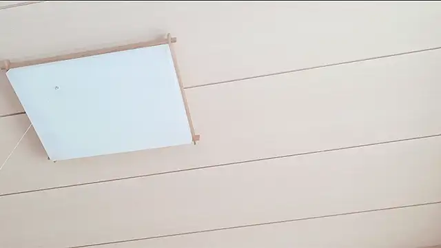 xxArisaxx online show from March 1, 2026, 5:42 am