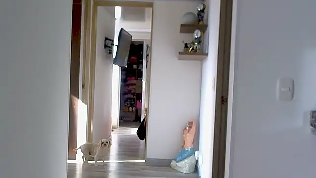 adan eva960 online show from September 9, 2025, 12:59 pm