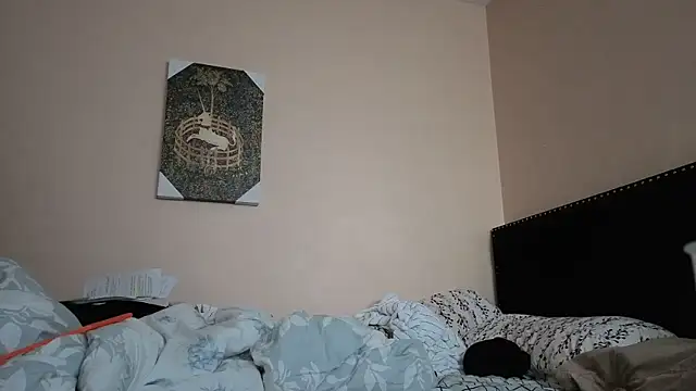 Snapshot of hailzeffn chatting on November 2, 2025, 12:29 pm hailzeffn online show from November 2, 2025, 12:29 pm