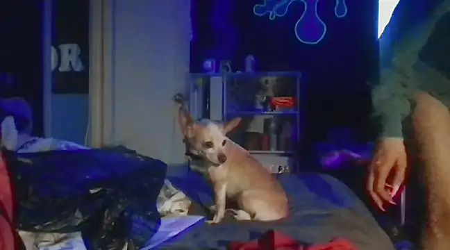 watermellonpussy online show from December 28, 2024, 5:55 am