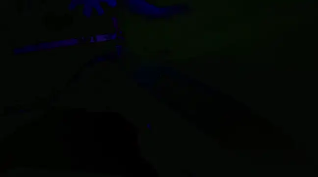 watermellonpussy online show from January 29, 2025, 3:54 am