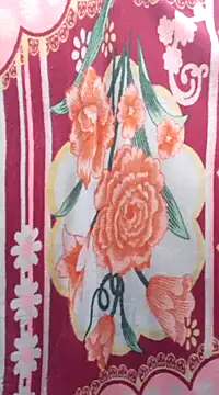 Snapshot of Burhade-- chatting on January 2, 2025, 1:49 am Burhade-- online show from January 2, 2025, 1:49 am