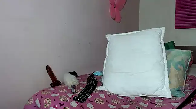 Snapshot of hazisabel chatting on December 19, 2024, 3:40 am hazisabel online show from December 19, 2024, 3:40 am