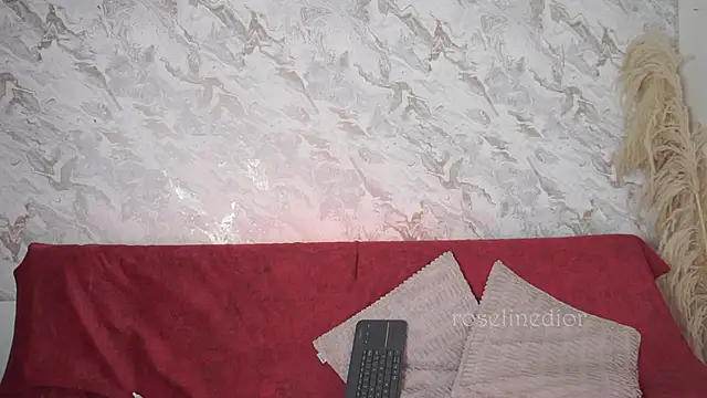 roselinedior online show from November 23, 2025, 2:28 pm