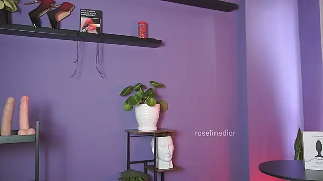 Snapshot of roselinedior chatting on May 19, 2026, 2:45 pm roselinedior online show from May 19, 2026, 2:45 pm
