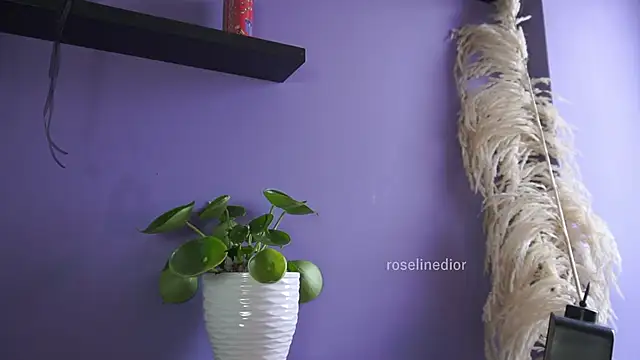 Snapshot of roselinedior chatting on May 20, 2026, 4:24 pm roselinedior online show from May 20, 2026, 4:24 pm