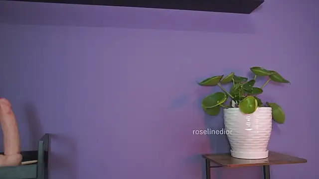 Snapshot of roselinedior chatting on May 26, 2026, 1:29 pm roselinedior online show from May 26, 2026, 1:29 pm