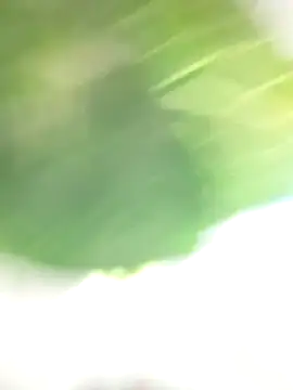 Wanda and cosmo  online show from March 7, 2025, 8:55 pm