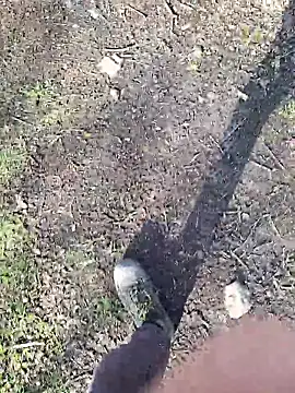 FreezingTie850 online show from March 11, 2026, 3:07 pm