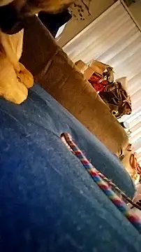 fukurbutt online show from February 19, 2026, 3:41 pm