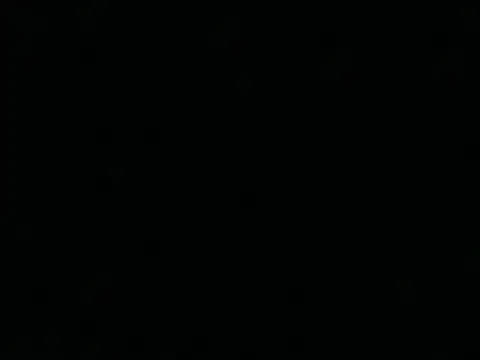 Tigerhill2023 online show from April 25, 2026, 1:41 pm