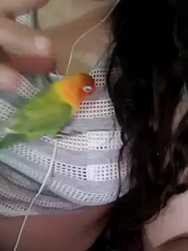 Zanoba-16 online show from February 15, 2025, 12:22 pm