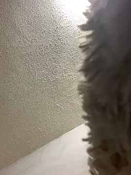 Snapshot of talitasilvx chatting on March 18, 2025, 11:09 pm talitasilvx online show from March 18, 2025, 11:09 pm