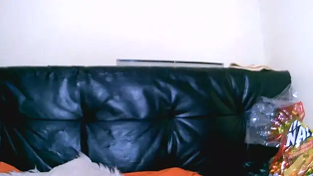 Bustypillows online show from July 10, 2026, 3:47 pm