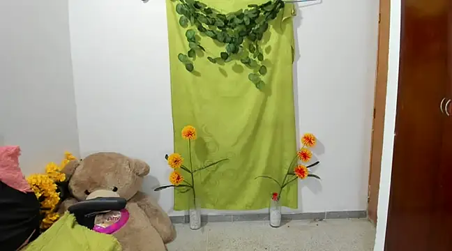 Snapshot of corzoethan chatting on February 14, 2025, 2:28 am corzoethan online show from February 14, 2025, 2:28 am