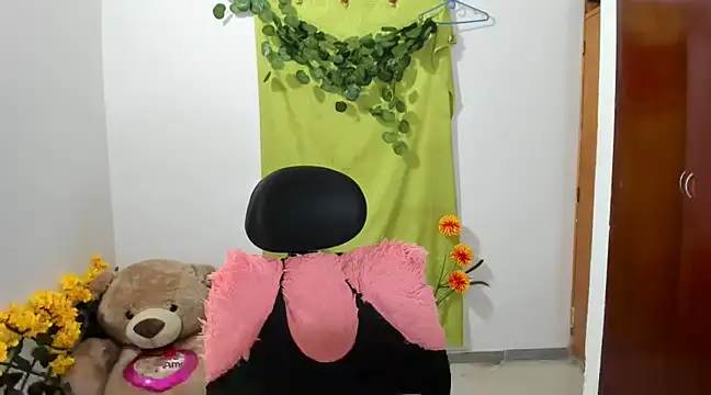 Snapshot of corzoethan chatting on February 19, 2025, 11:14 pm corzoethan online show from February 19, 2025, 11:14 pm