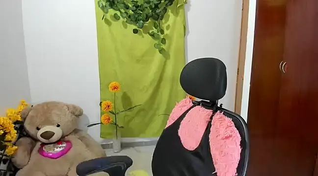 Snapshot of corzoethan chatting on February 25, 2025, 1:52 am corzoethan online show from February 25, 2025, 1:52 am