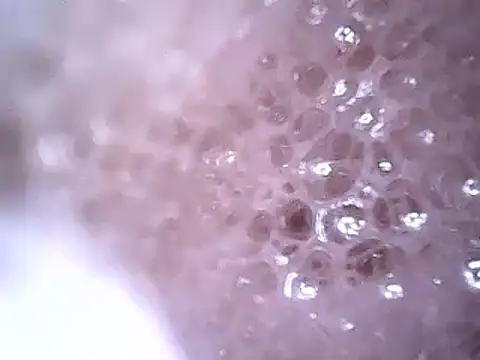 Beijing2000 online show from December 19, 2024, 2:45 am