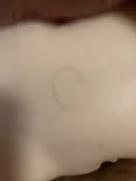 Beijing2000 online show from November 8, 2025, 12:55 am