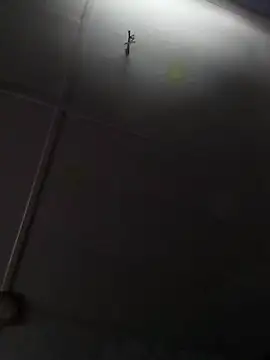 Snapshot of beelzebubblesxo chatting on January 9, 2026, 2:42 pm beelzebubblesxo online show from January 9, 2026, 2:42 pm