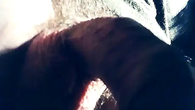 Snapshot of wedge75 chatting on February 8, 2025, 10:29 pm wedge75 online show from February 8, 2025, 10:29 pm