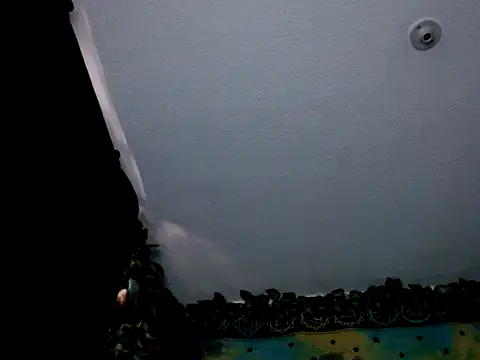 chanel 1041 online show from January 3, 2025, 9:36 pm