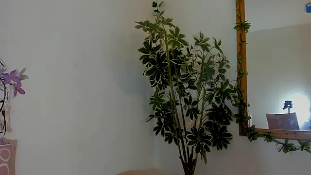 Snapshot of FaloonRoussel chatting on June 22, 2026, 6:27 pm FaloonRoussel online show from June 22, 2026, 6:27 pm
